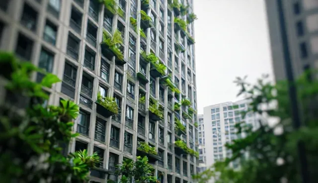 网络推广服务：网站建设选型关注点分析